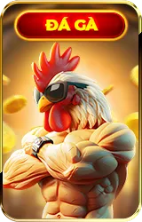 Icon đá gà vsbet