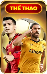 Icon thể thao vsbet